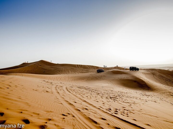 أنشطة