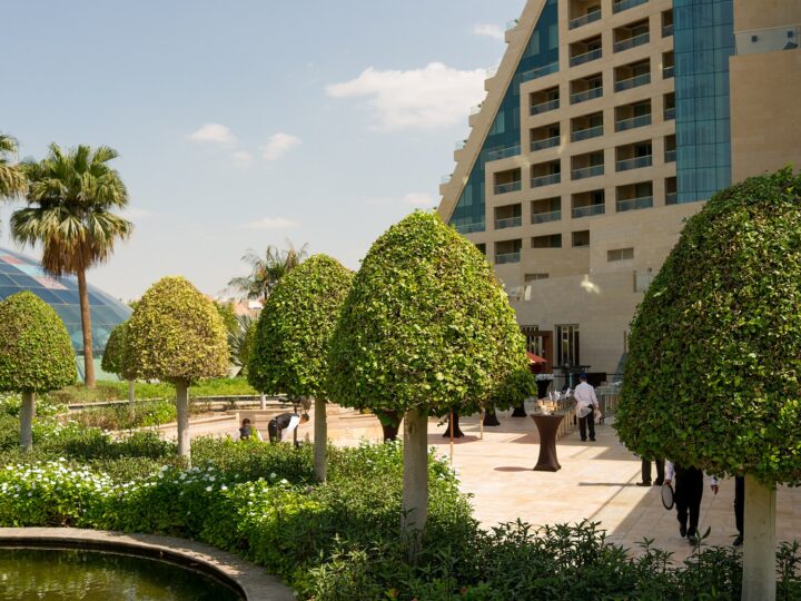 رافلز دبي