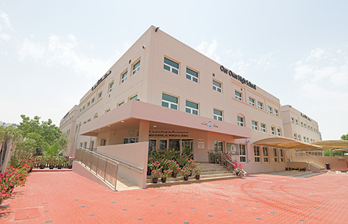 Our Own High School